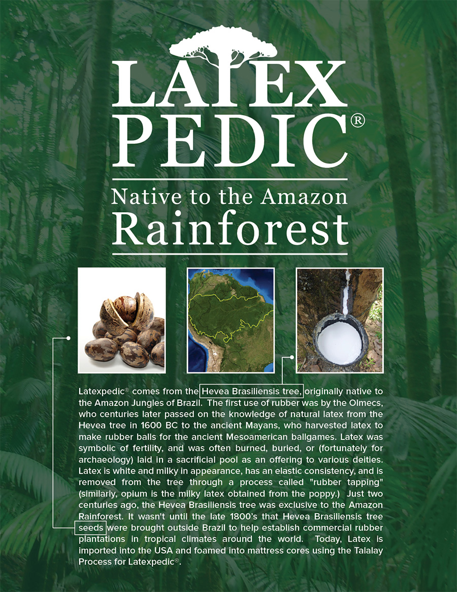 Beverly Hills natural rubber latex mattress